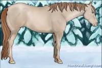 Horse Color:Smoky Black Pearl 