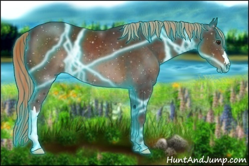 Horse Color:Thunderstruck Liver Chestnut