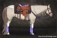 Horse Color:Bay Dun Tobiano Appaloosa 