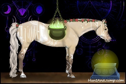 Horse Color:White Spotted Silver Bay Dun 