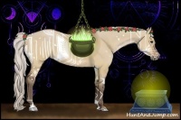 Horse Color:White Spotted Silver Bay Dun