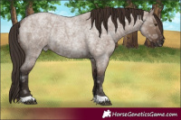 Horse Color:Liver Red Dun Ice Roan