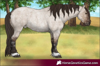 Horse Color:Liver Red Dun Ice Roan 