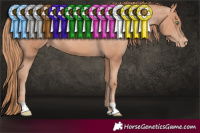 Horse Color:Gold Champagne Blanket 