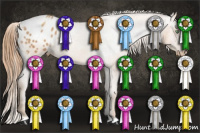 Horse Color:Gold Champagne Appaloosa