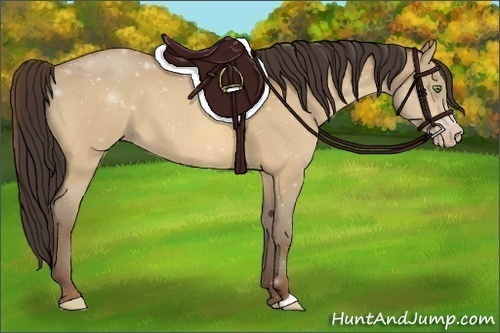 Horse Color:Amber Champagne 