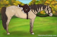 Horse Color:Amber Champagne 