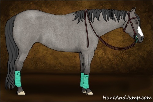 Horse Color:Smoky Grullo Roan 