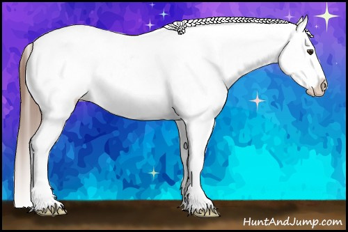 Horse Color:Red Dun Splash Tobiano Frame Appaloosa 