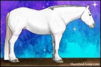 Horse Color:Red Dun Splash Tobiano Frame Near Leopard 