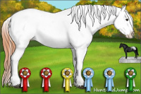Horse Color:Bay Splash Tobiano Appaloosa  and Bay Splash Tobiano Appaloosa 