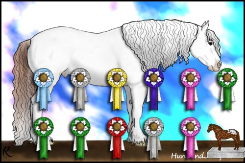 Horse Color:Brown Appaloosa 