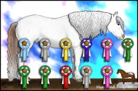 Horse Color:Brown Appaloosa