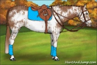Horse Color:Chestnut Splash Frame and Chestnut Splash Frame