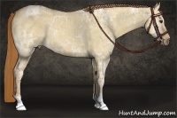 Horse Color:Red Dun Ice 