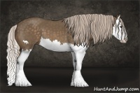 Horse Color:Chocolate Palomino Splash 