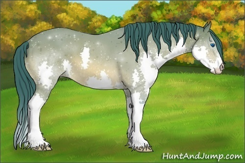Horse Color:Watercolor Bay Splash 