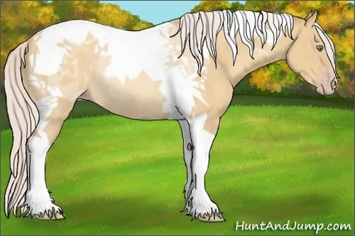 Horse Color:Silver Sable Champagne Dun Tobiano Rabicano