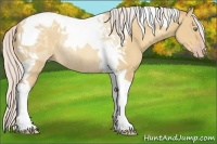 Horse Color:Silver Sable Champagne Dun Tobiano Rabicano