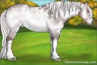 Horse Color:White Spotted Chocolate Silver Brown Chinchilla Onyx