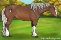Horse Color:Silver Brown 