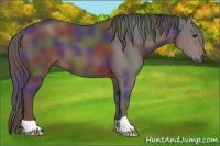 Horse Color:Nacre Brown 