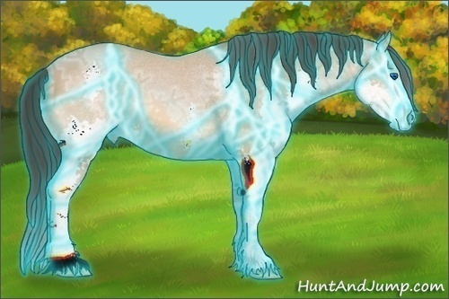 Horse Color:Thunderstruck Amber Champagne Ice Splash 