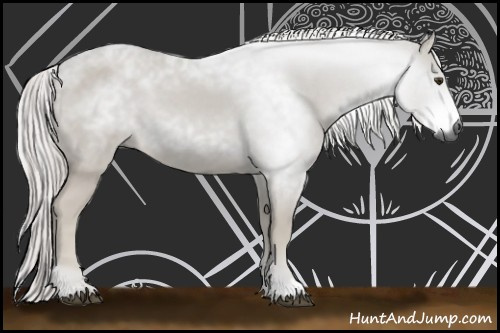 Horse Color:Gray Palomino 