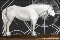 Horse Color:Gray Palomino