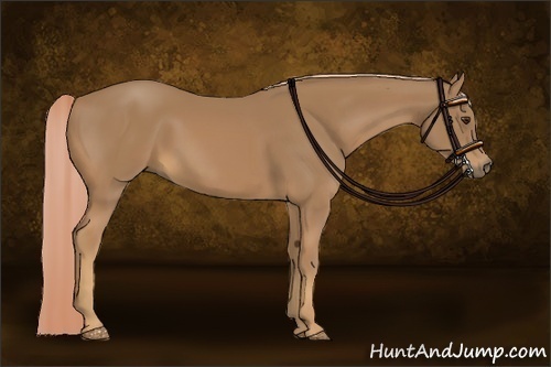 Horse Color:Palomino