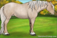 Horse Color:Silver Blue Roan Pearl 