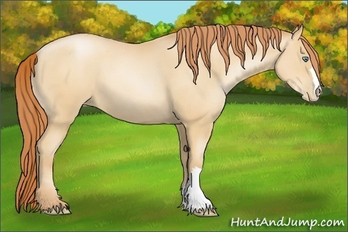 Horse Color:Sable Champagne Pearl