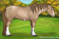Horse Color:White Spotted Liver Chestnut Pearl 