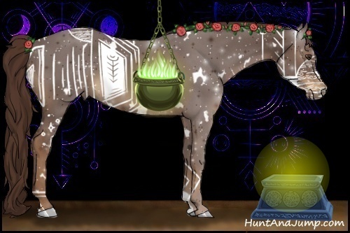 Horse Color:White Spotted Liver Chestnut 