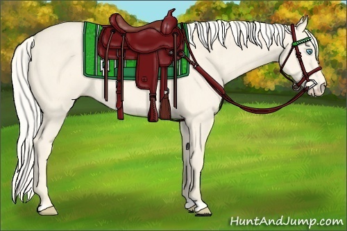 Horse Color:Cremello 