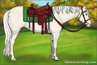 Horse Color:Cremello 