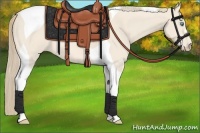 Horse Color:Perlino Tobiano 