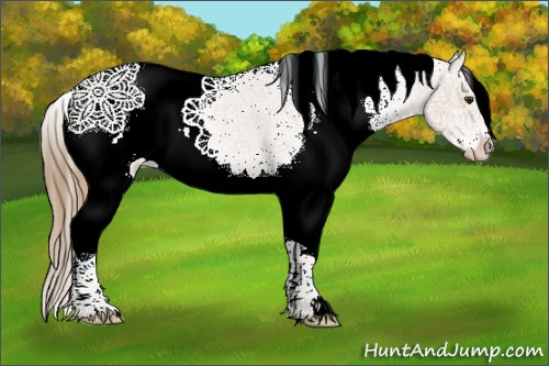 Horse Color:Chestnut Sabino Splash Varnish 