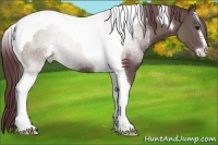 Horse Color:Chocolate Black Sabino Tobiano