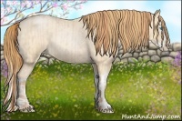 Horse Color:Buckskin Roan Pearl and Buckskin Roan Pearl Splash