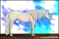 Horse Color:Silver Amber Champagne Ice Dun