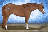 Horse Color:Chestnut and Chestnut