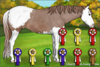 Horse Color:Chestnut Splash Snowcap