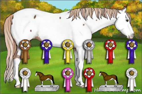 Horse Color:Chestnut Splash Near Fewspot
