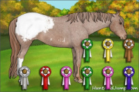 Horse Color:Chestnut Snowcap 