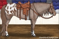 Horse Color:Chestnut Blanket Rabicano 