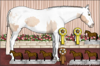 Horse Color:Gold Champagne Snowcap  and Gold Champagne Snowcap 