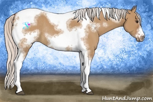 Horse Color:Silver Bay Dun Sabino Tobiano Frame Rabicano