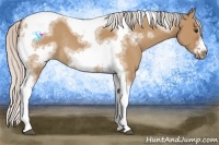 Horse Color:Silver Bay Dun Sabino Tobiano Frame Rabicano
