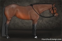 Horse Color:Bay Roan 